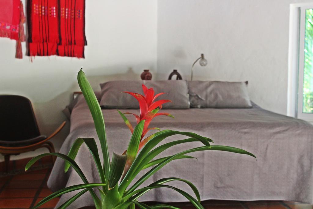 Hotel Que Onda Akumal Eksteriør bilde